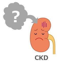 CKDの原因