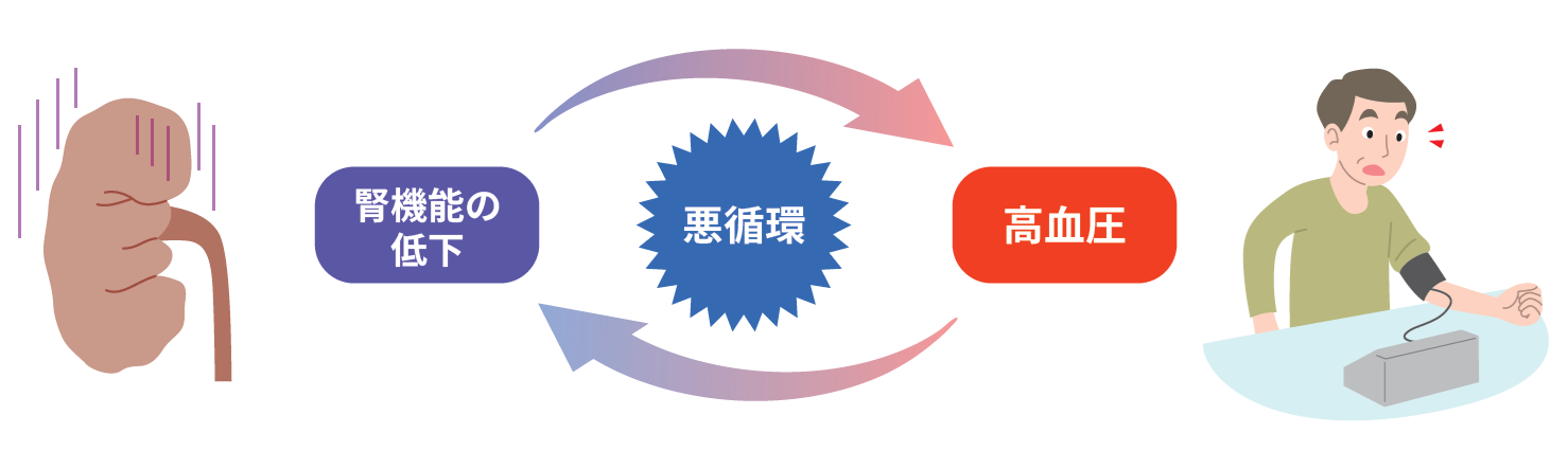 高血圧と腎機能低下