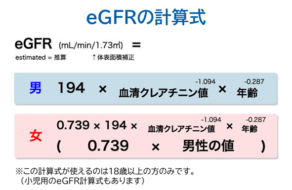 eGFRの計算式