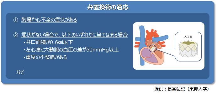 弁置換術
