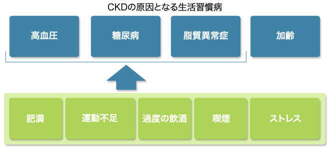 CKDの原因となる生活習慣