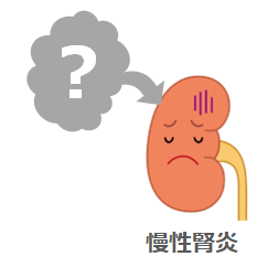 教えて！ドクター｜慢性腎炎と診断されました。何が原因でしょ